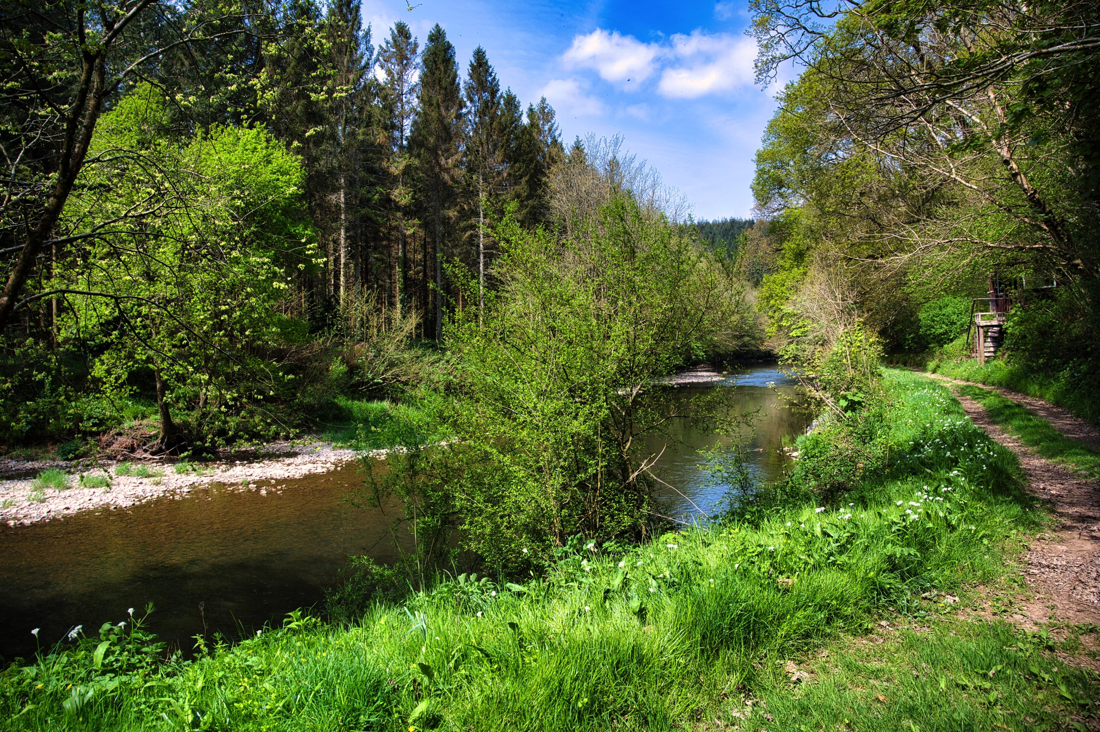 Little Warham Fishery